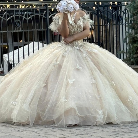 Quinceañera Dress in champagne color - Picture 4 of 5